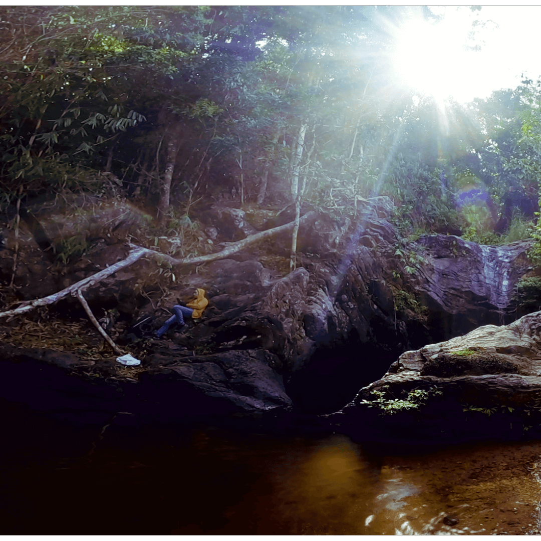 Jungle path to Seven Falls
